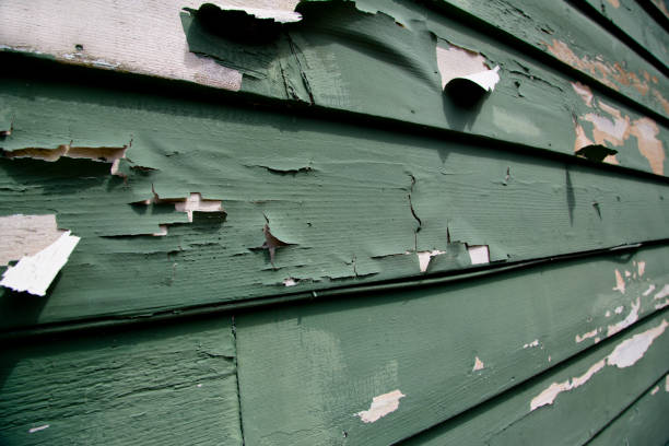Professional Junk Removal in New Cassel, NY
